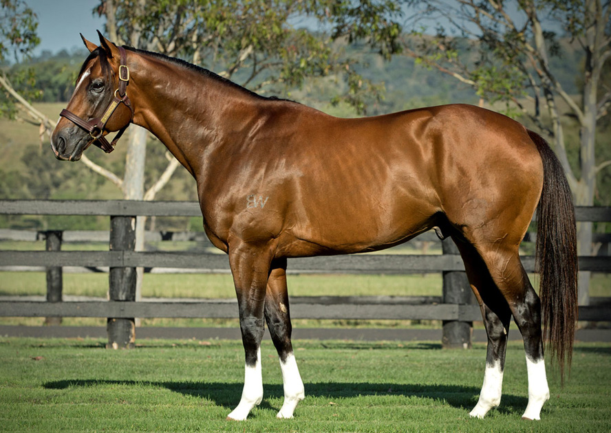 New Sire SCISSOR KICK off the Mark With Stakes Class 2YO Filly